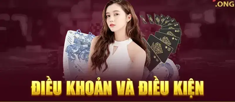 Hiểu Rõ Điều Khoản Điều Kiện Nhà Cái B29 – Hướng Dẫn Toàn Diện